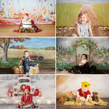 Реколтата, фон за снимки с участието на тортата новороденото Four Seasons Garden Reed, портрет на дете, на фона на фотосесия в душата на детето, фотографско студио